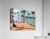 Coconut Hill Acrylic Print