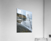 Black Sand on the Coast Acrylic Print