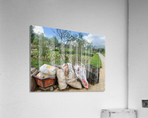 Lets Clean the Park Acrylic Print