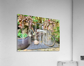 Espresso Bike Acrylic Print