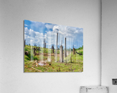 Field of Broken Trees Acrylic Print