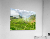 Rice Plateau Acrylic Print