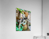 Transparent Boots Acrylic Print