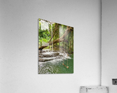 Swing in the Jungle Acrylic Print