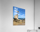 Tree Over The Rock Acrylic Print