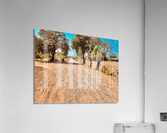 Follow the Dirt Road Acrylic Print