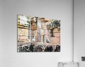 Birds in Historical Site Acrylic Print