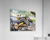 Corn and Tea on the Fire Acrylic Print