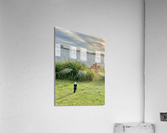 Bird Looking at the Bridge Acrylic Print