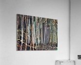 Find the Entrance Acrylic Print