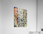 All the Cages Acrylic Print