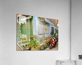 Plants on the Corner Acrylic Print