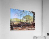 Nature Behind the Wall Acrylic Print