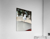 One Leg Balance Acrylic Print