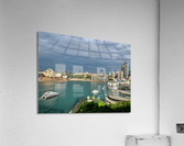 Sydney Harbour Acrylic Print