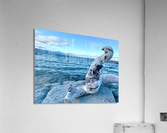 Bird Shaped Wood in Front of the Ocean Acrylic Print