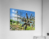 Fan by the Mekong River Acrylic Print