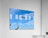 Macaws with Hands Acrylic Print
