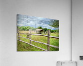 Looking at the Farm Acrylic Print