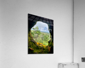 Nature Through the Hole Acrylic Print