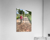 The Bike Path Acrylic Print
