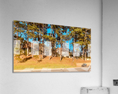 You Forgot Your Car Acrylic Print