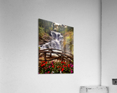 Waterfall and Red Flowers Acrylic Print