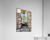 There is a Tree Outside Acrylic Print