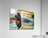 Hooked on this Photo Acrylic Print