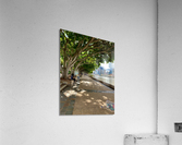 Walking Around Brisbane Acrylic Print