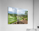 The Pepper Plantations Acrylic Print