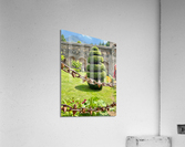 Spiral Tree Acrylic Print