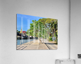 Tree Way Separation Acrylic Print