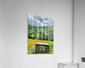 Block on Nature Acrylic Print