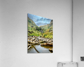 Beautiful Nature Acrylic Print