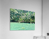 Jungle Green Acrylic Print
