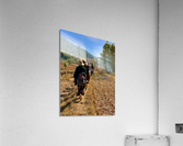 Follow the Path Acrylic Print