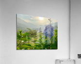 Purple Flowers for Sunset Acrylic Print