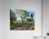 Stop This Train Acrylic Print