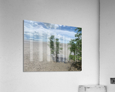 Lonely Tree 3 Acrylic Print