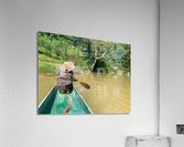 Lady Paddling Acrylic Print