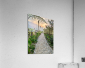 Walking to the Sunset Acrylic Print