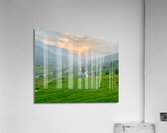 Sunset Over Sapa Rice Field Acrylic Print