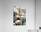 Coconut Stack Acrylic Print