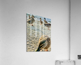 Ducks on the Beach Acrylic Print