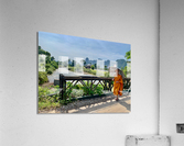 Monk Taking a Walk Acrylic Print