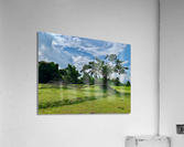 Life  and Death Acrylic Print