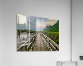 Wooden Walkway 2 Acrylic Print