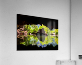 Cave Reflections Acrylic Print