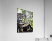 Monkeys on the Roof Impression acrylique